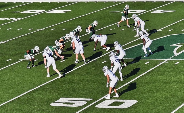 胜利化为乌 胜利化为乌