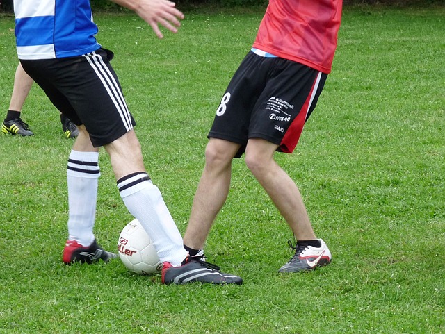 疑是球迷们 疑是球迷们